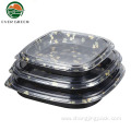Disposable Sushi Party Package Container Square Plates